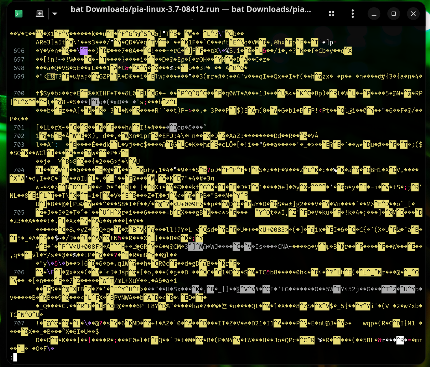 huge binary blob