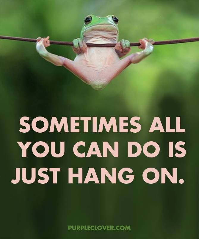 sometimes all you can do is hang in there