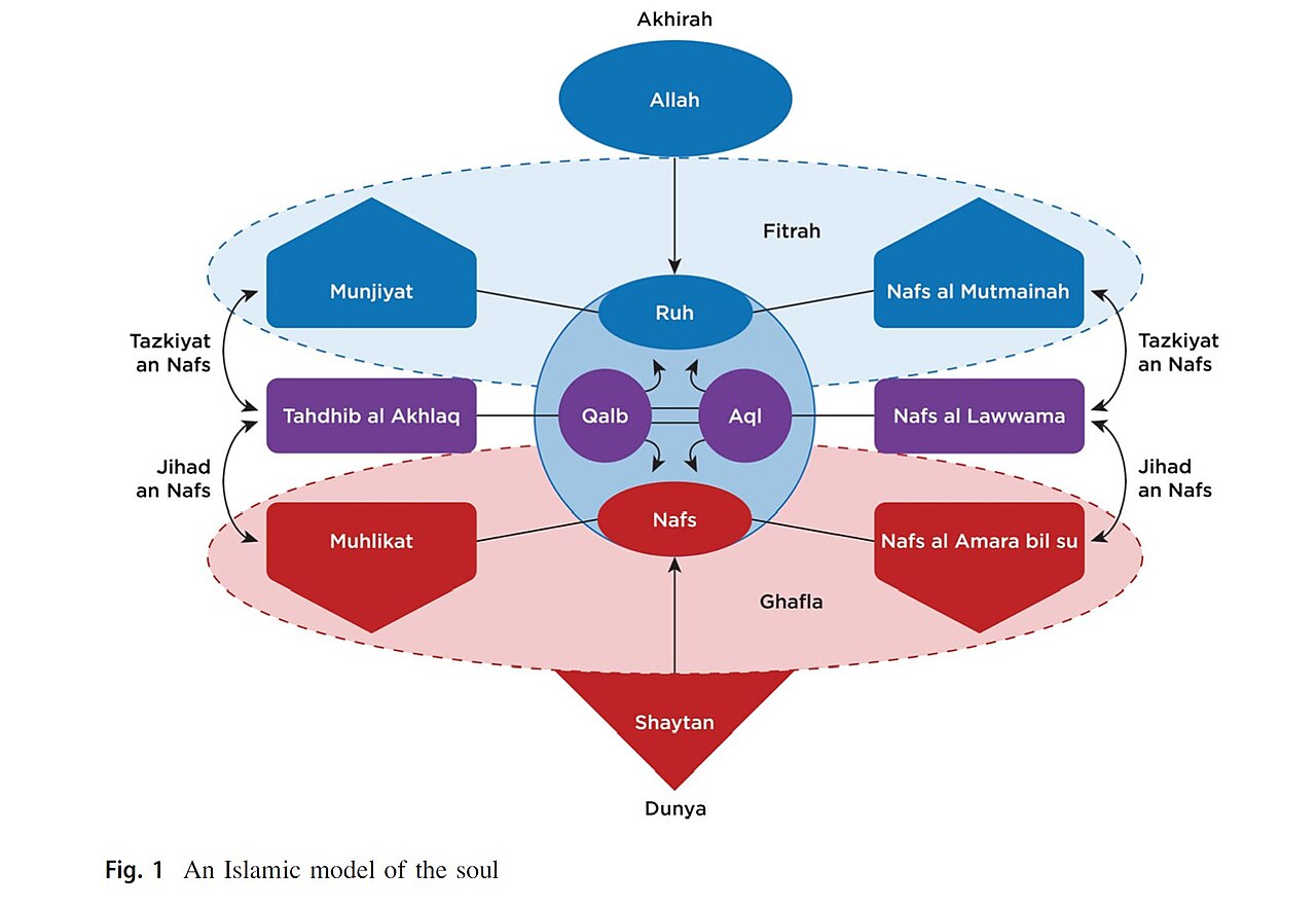 Islamic model of the soul looks like a software engineering diagram. Imagine one normal and one upside-down pyramid connected at their base, now put bunch of nodes in there