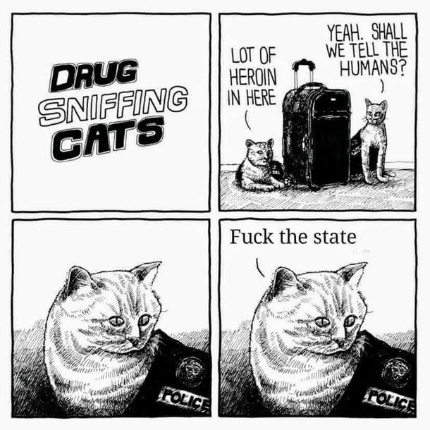 VNNL4FflU1ShGdD.jpg
