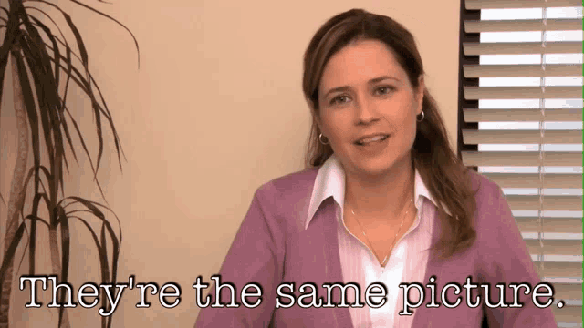 https://media1.tenor.com/m/fHz7wfvakO8AAAAd/theyre-the-same-picture-the-office.gif