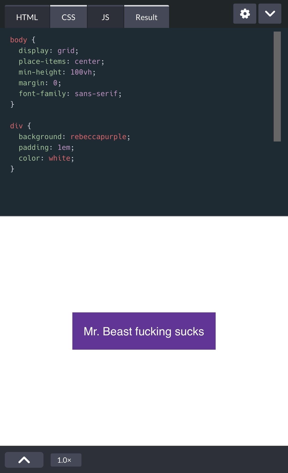 a screenshot demonstrating how to center a div using grid in CSS. Inside the div the content reads: Mr. Beast fucking sucks.
